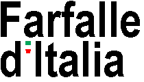 immagine di scritta: "Fratelli d'Italia" testo nero su bianco con apostrofo tricolore
