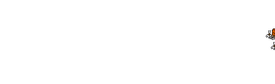 anispa.gif (70137 byte)