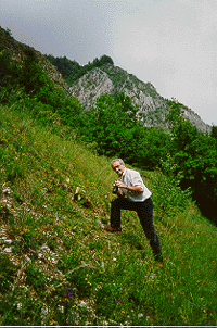 vcalach.gif (49608 byte)